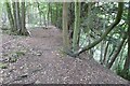 Footpath in Highbury Wood