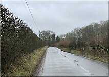 SU6043 : Lane approaching Axford by Mr Ignavy
