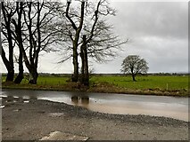 H5472 : A wet road, Bracky by Kenneth  Allen