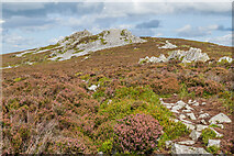 SO3698 : The Stiperstones by Ian Capper