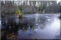 NH6257 : Frozen lochan or frozen bog in Bogbuie Wood by Julian Paren
