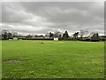 SJ7955 : Alsager Cricket Cub ground by Jonathan Hutchins