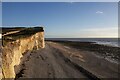 TV5595 : Berms on the beach at Birling Gap, East Sussex by Andrew Diack