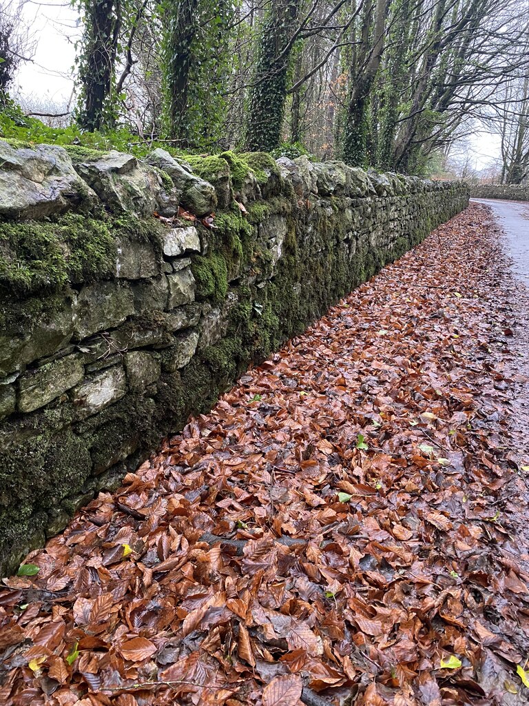 decades-of-leaf-mould-alan-hughes-geograph-britain-and-ireland