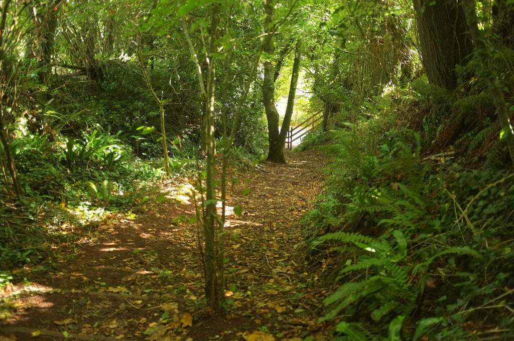 path-to-steep-hill-maidencombe-derek-harper-geograph-britain-and