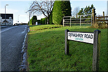 H5367 : Dervaghroy Road, Laragh by Kenneth  Allen