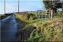 H5367 : Dervaghroy Road by Kenneth  Allen