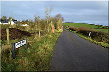 H5366 : Laragh Road, Laragh by Kenneth  Allen