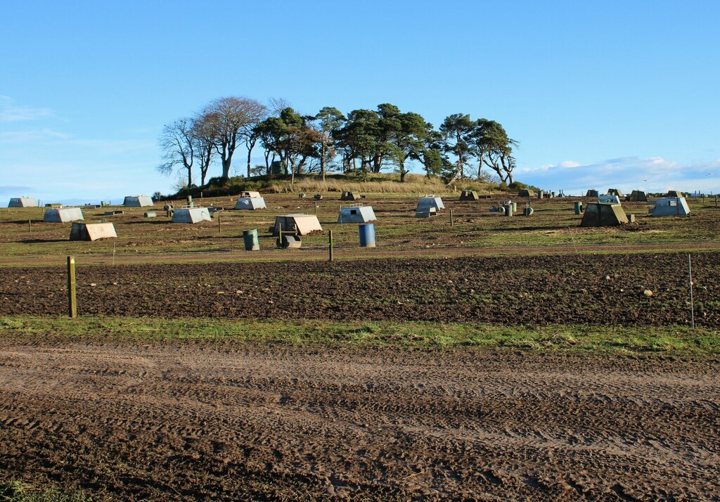 pig-farm-richard-sutcliffe-geograph-britain-and-ireland