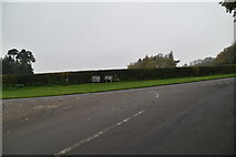TQ5953 : Plaxtol Lane meets A227 by N Chadwick