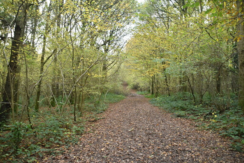 Footpath, Kiln Wood © N Chadwick :: Geograph Britain and Ireland