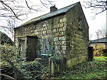 S7360 : Cottage Ruin by kevin higgins