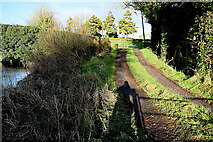 H4869 : Laneway from field, Edenderry by Kenneth  Allen