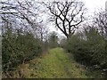 Butteryhouse Lane path