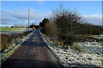 H5064 : Frosty along Drumconnelly Road by Kenneth  Allen