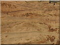 NT7871 : Sandstone exposure, Cove Harbour by Richard Webb