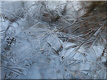 NJ3459 : Ice Patterns by Anne Burgess
