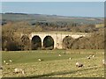 NU1109 : Disused viaduct on the old Alnwick and Cornhill Railway by Russel Wills