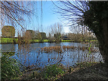 TL4550 : Icy Bradmere Pond by John Sutton