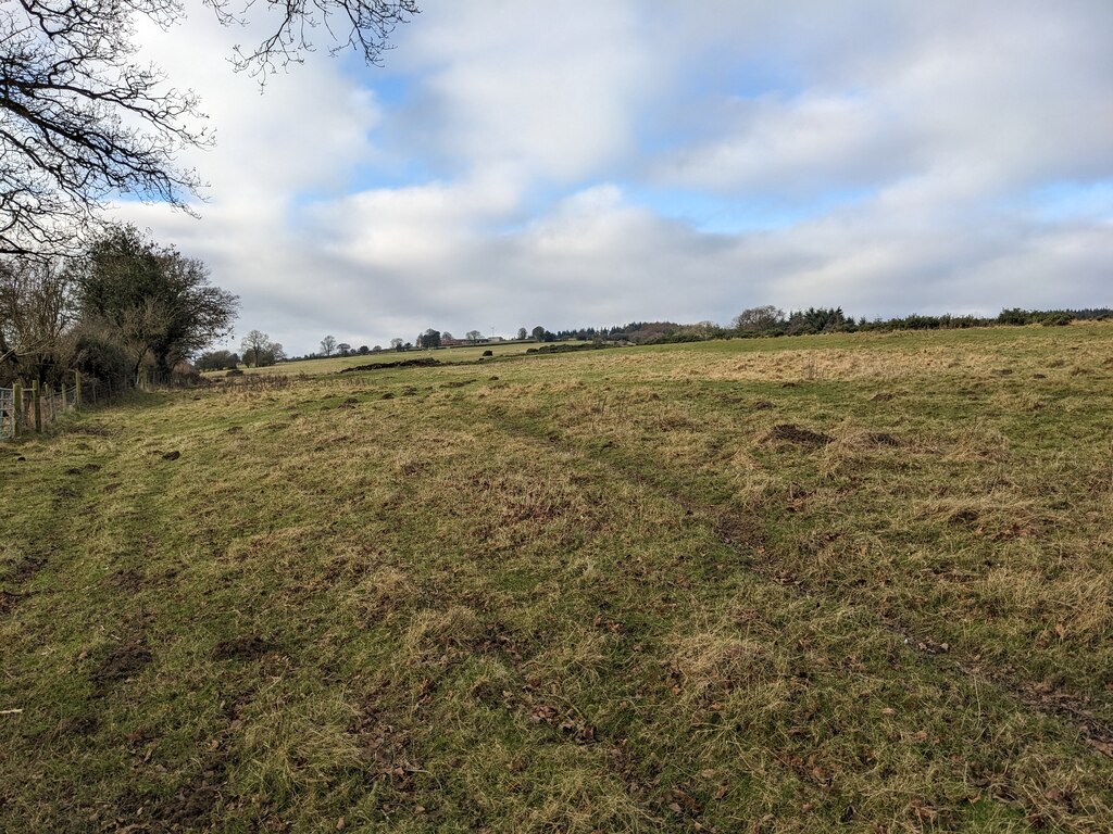 Hanway Common © Fabian Musto :: Geograph Britain and Ireland