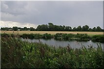 TL3171 : River Great Ouse from Holt Island by Hugh Venables