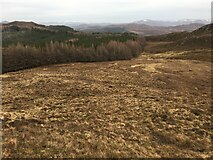  : Boggy ground across to forestry near Creag Ruadh by Steven Brown