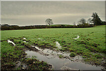 H5064 : Wet ground, Moylagh by Kenneth  Allen