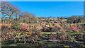 Nursery in the foothills