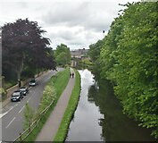 SD4760 : Lancaster Canal by N Chadwick
