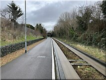 TL4454 : Guided busway behind Cranleigh Close by Mr Ignavy