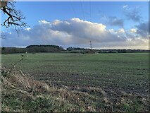 SU5549 : Farmland west of Oakley by Mr Ignavy