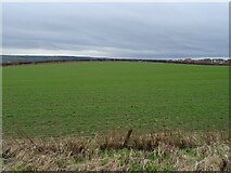 TA0684 : Farmland, Osgodby Hill by JThomas