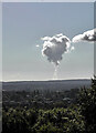 SK0517 : Water Vapour from Rugeley B Power Station cooling towers by Rod Grealish