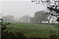 Misty downland scene