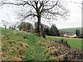 Llwybr ger Fron Ganol / Path near Fron Ganol