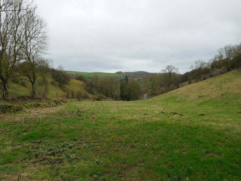 Grass field near Whitecliife Farm © Jonathan Thacker :: Geograph ...