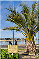 SY6878 : Sign and palm by Ian Capper