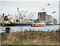 J3576 : Birds and ships, Belfast by Rossographer