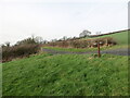 Llwybr yn croesi trac / Path crosses a track