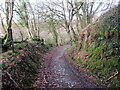 Llwybr yn mynd i lawr y waered. / Path descends the hill