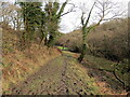 Llwybr yn agosau at ryd  / Path nears  a ford