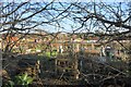 Allotments in Cookham Rise