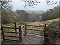 SO9003 : New Wooden Gate, nr Avenis Green, Gloucestershire by J I Cheetham