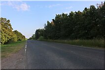 TL3348 : Ermine Way south of Arrington by David Howard