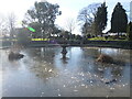 SO6302 : Frozen pond in Bathurst Park by Neil Owen