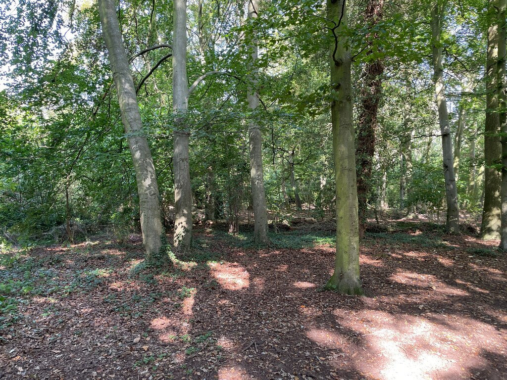 Fulbourn Fen Nature Reserve © Mr Ignavy :: Geograph Britain and Ireland