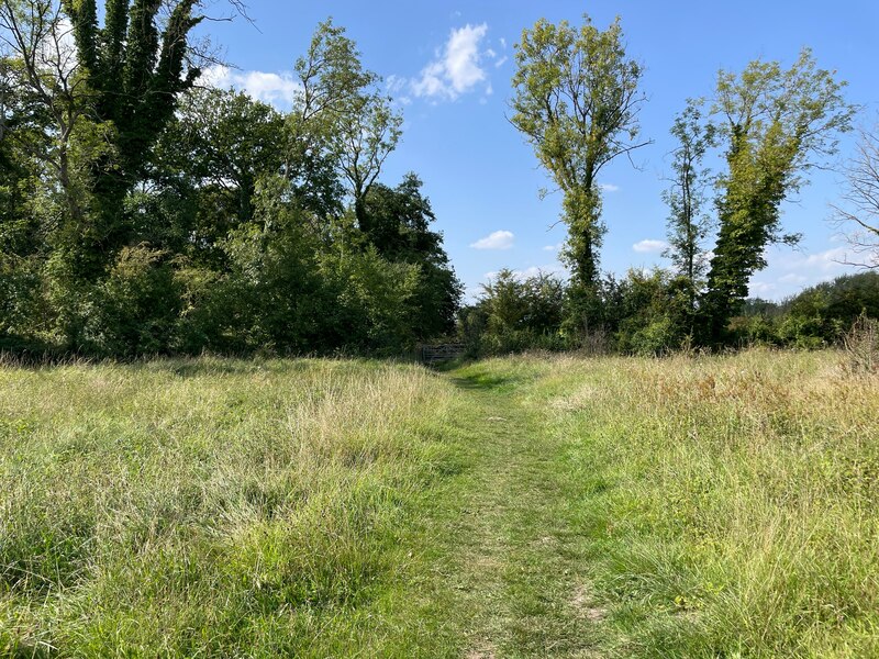 Path in Fulbourn Fen Nature Reserve © Mr Ignavy :: Geograph Britain and ...