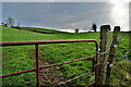 H4075 : Rusty gate, Dunwish by Kenneth  Allen