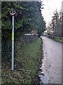 SO5504 : Obscured speed limit sign, Mork Road, St Briavels by Jaggery