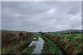 SY2593 : A muddy East Devon Way leaving Lower Cowhayne by Tim Heaton